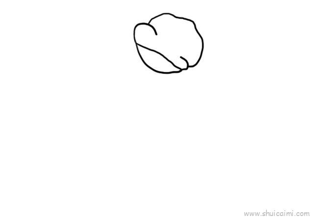 罂栗花儿童画怎么画 罂栗花简笔画好看