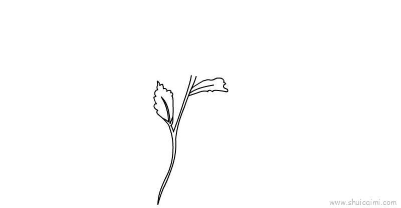 花朵儿童画怎么画 花朵简笔画顺序