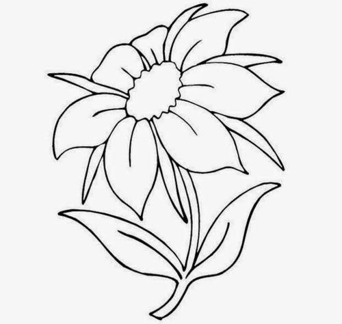 花卉简笔画 花卉简笔画图片大全