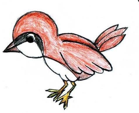 麻雀简笔画 麻雀简笔画带颜色