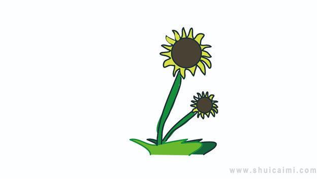 画花草简笔画怎么画 画花草简笔画步骤