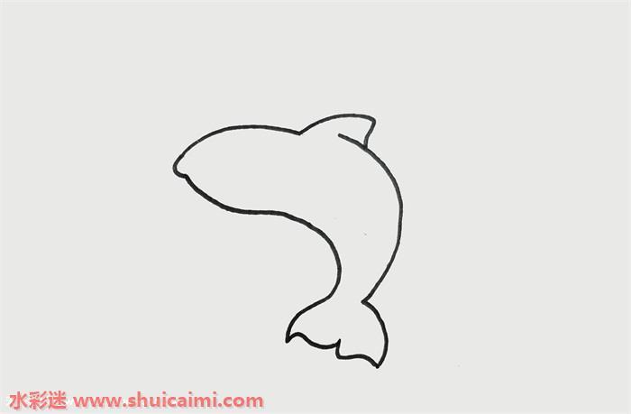巨齿鲨怎么画 巨齿鲨简笔画画法