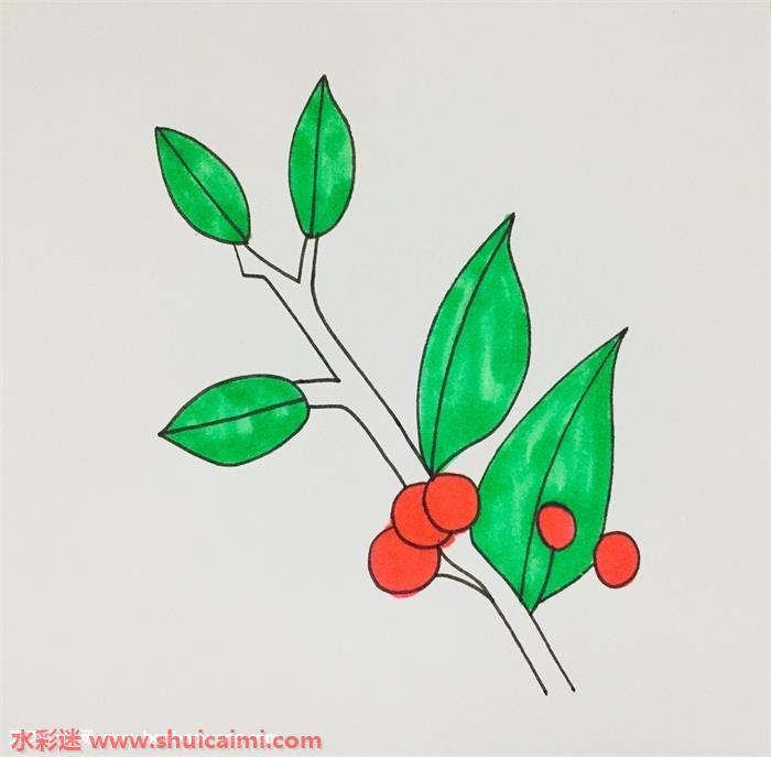 冬青树怎么画 冬青树简笔画漂亮卡通