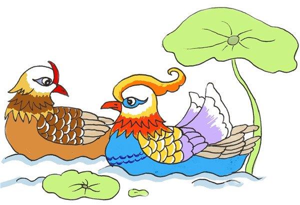 鸳鸯的简笔画怎么画 鸳鸯的简笔画简单又好看