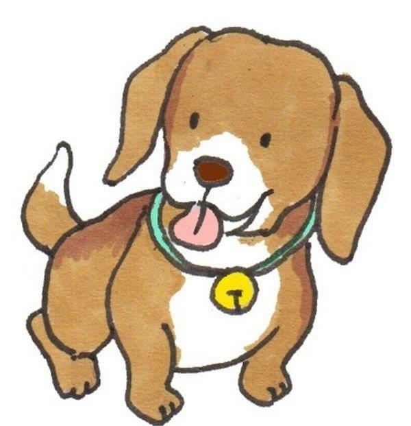 田园犬的简笔画怎么画 田园犬的简笔画顺序