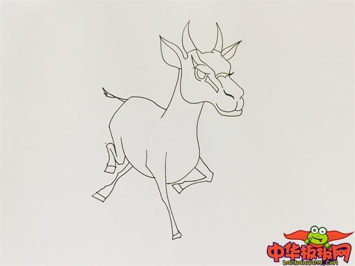 奔跑羚羊怎么画 奔跑羚羊简笔画漂亮卡通