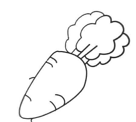 胡萝卜简笔画 胡萝卜简笔画可爱