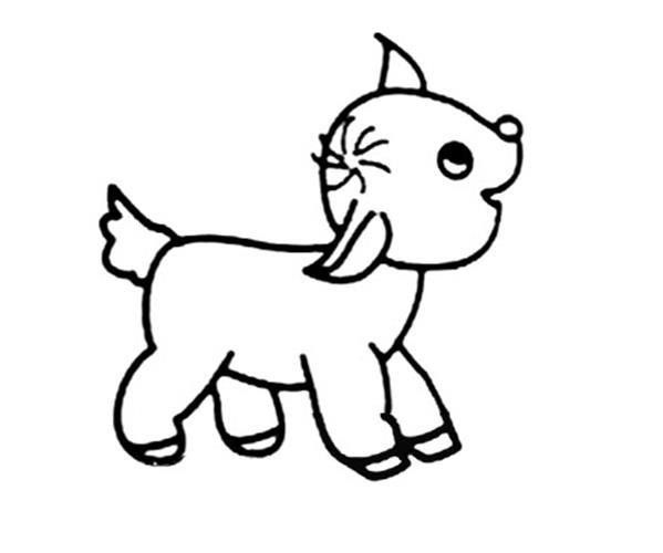 幼儿简笔画小羊的画法_如何画小羊简笔画步骤