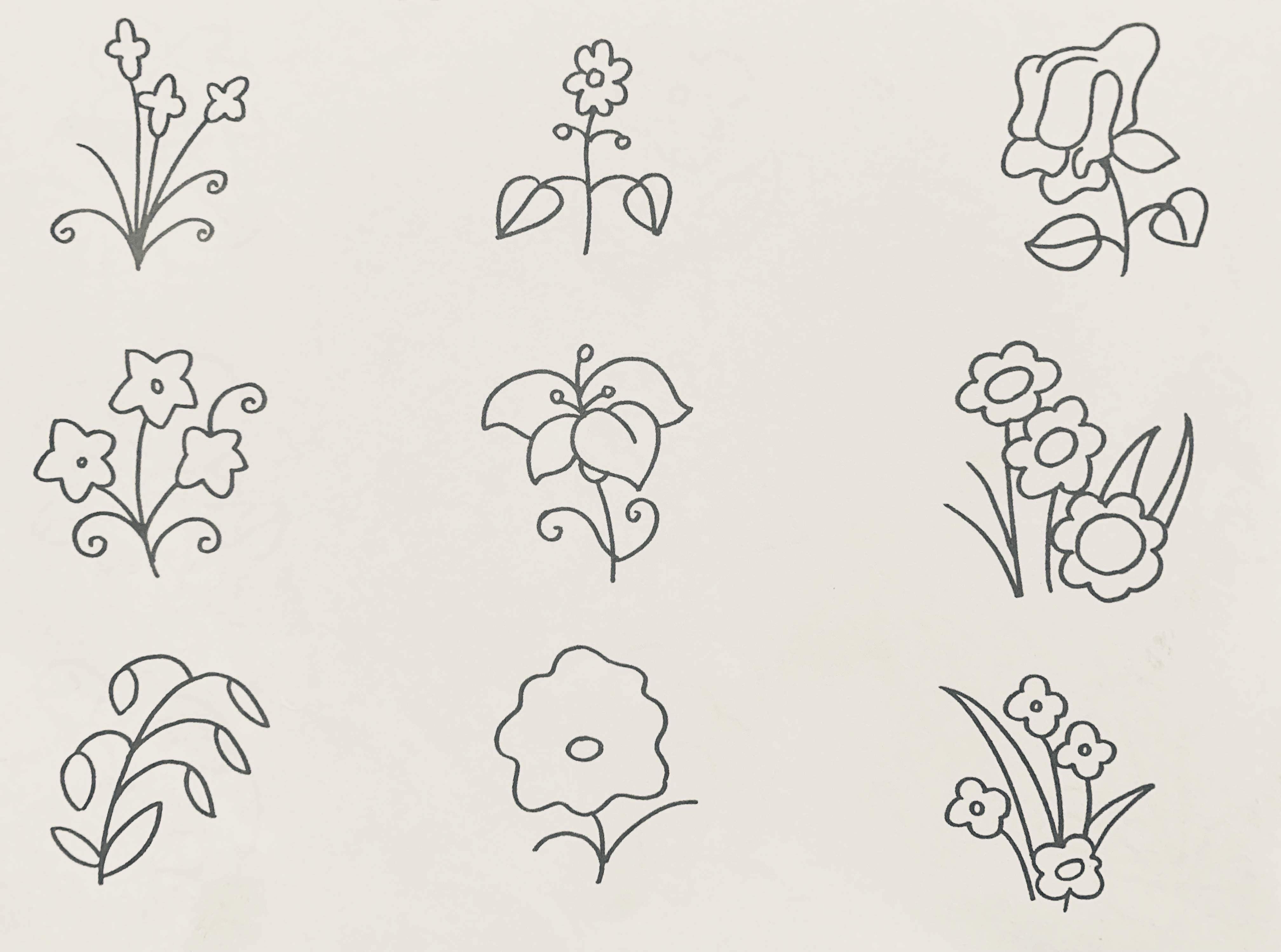 植物简笔画图片大全 植物简笔画图片大全带颜色