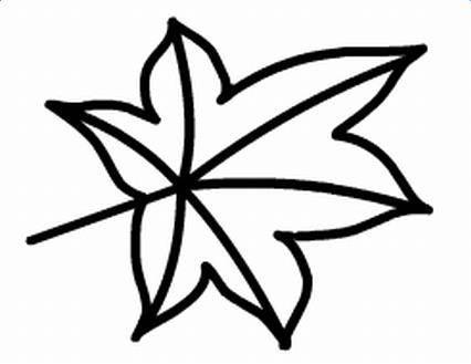 枫树简笔画 枫树简笔画图片大全大图