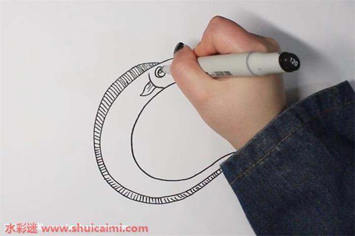 带鱼怎么画 带鱼简笔画画法