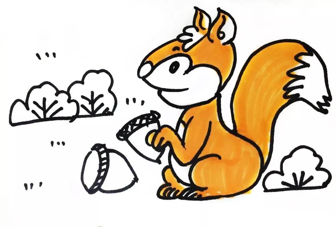 松鼠简笔画 松鼠简笔画可爱