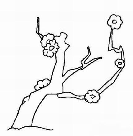 梅花图片简笔画手绘 梅花图片简笔画手绘儿童画