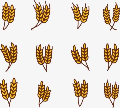 粮食简笔画 粮食简笔画图片