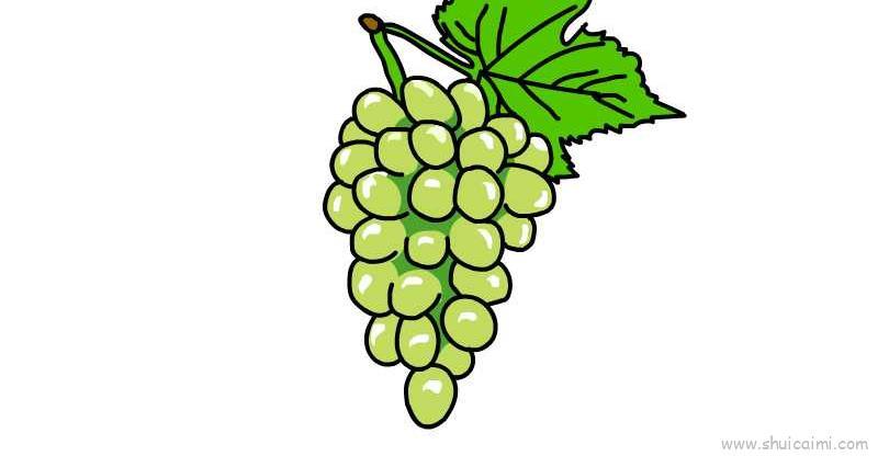 青提儿童画怎么画 青提简笔画步骤