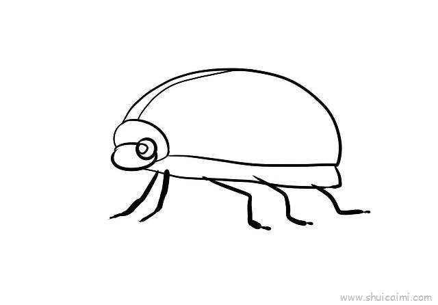 七星瓢虫儿童画怎么画 七星瓢虫简笔画画法