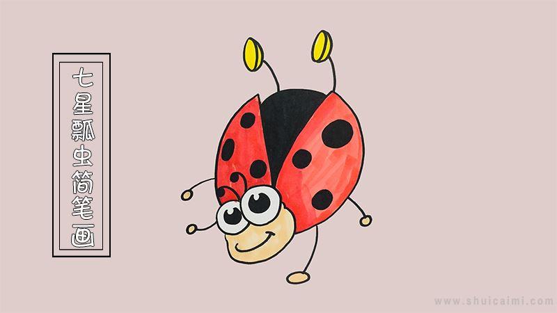 七星瓢虫简笔画怎么画 七星瓢虫简笔画图片