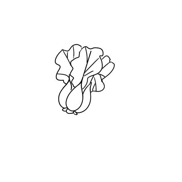 菠菜简笔画 菠菜简笔画图片带颜色