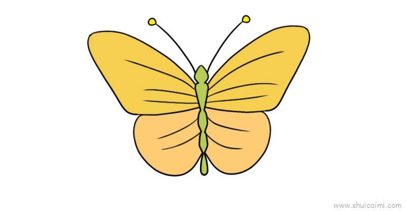 轴对称图形儿童画怎么画 轴对称图形简笔画好看