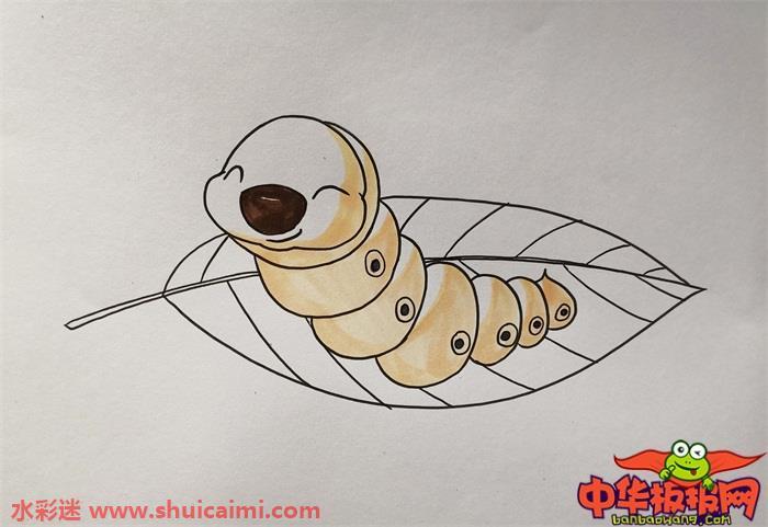 蚕宝宝怎么画 蚕宝宝简笔画简单好看带颜色