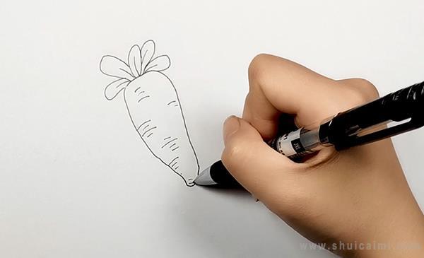 胡萝卜简笔画怎么画 胡萝卜简笔画画法