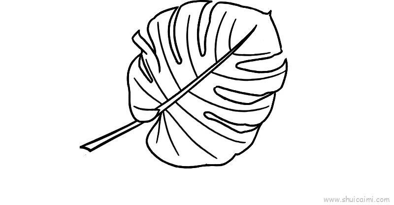 芭蕉叶儿童画怎么画 芭蕉叶简笔画简单又好看