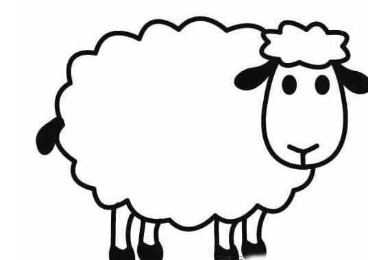 小羊简笔画图片大全可爱 小羊简笔画图片大全可爱版