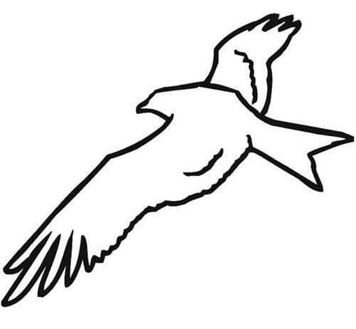 老鹰简笔画 老鹰简笔画简单