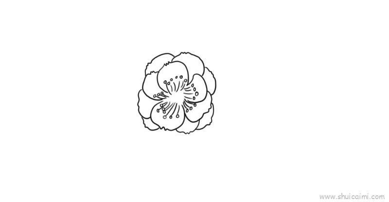 梅花儿童画怎么画 梅花简笔画好看