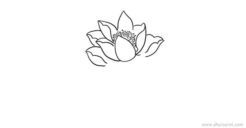 花儿童画怎么画 花简笔画简单又好看