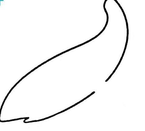 鱼的简笔画法 梭子鱼的简笔画法