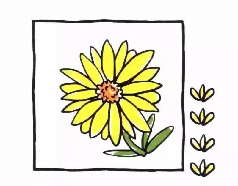 菊花的简笔画 菊花的简笔画图片