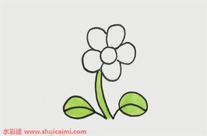 美丽小花怎么画 小花简笔画简单又漂亮彩色