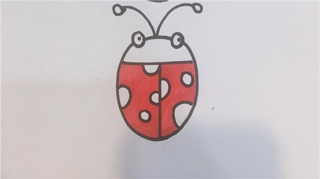 甲壳虫简笔画怎么画 甲壳虫简笔画简单
