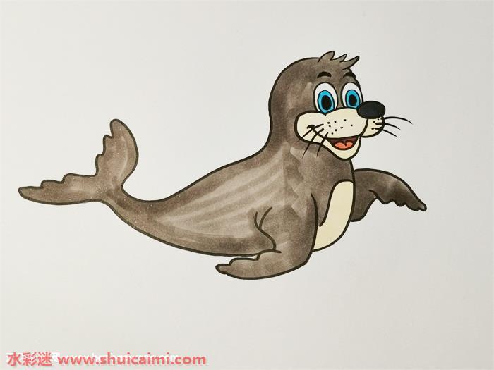 彩色可爱海豹怎么画 可爱海豹简笔画图片大全带颜色