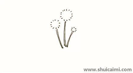 彩色蒲公英儿童简笔画
