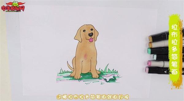拉布拉多怎么画 拉布拉多简笔画画法