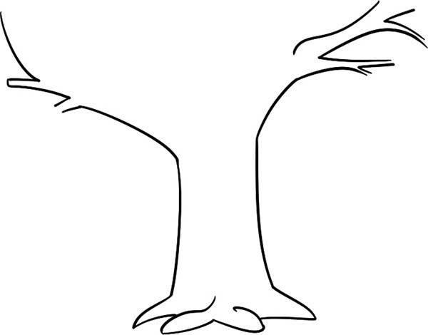 树干简笔画 树干简笔画简单又好看