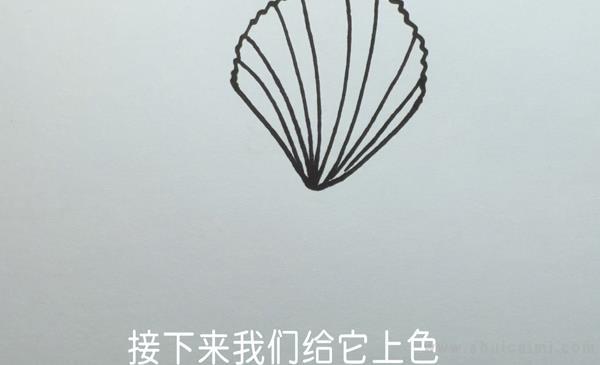 贝壳简笔画怎么画 贝壳简笔画简单