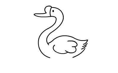 天鹅画法 简笔画_天鹅简单画