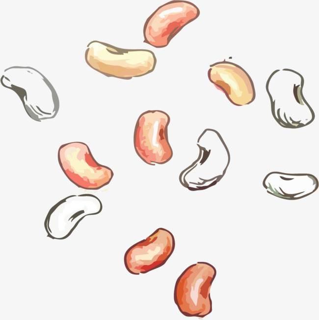 红豆简笔画 红豆简笔画可爱