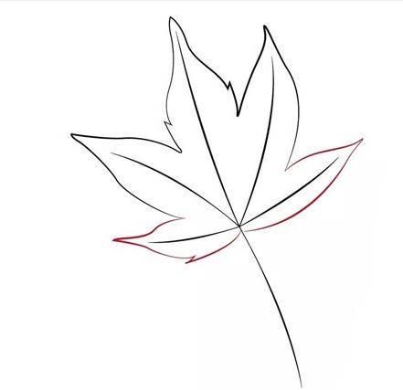 枫叶简笔画 枫叶简笔画图片大全