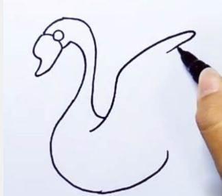 天鹅的简笔画图片大全 天鹅的简笔画图片大全可爱