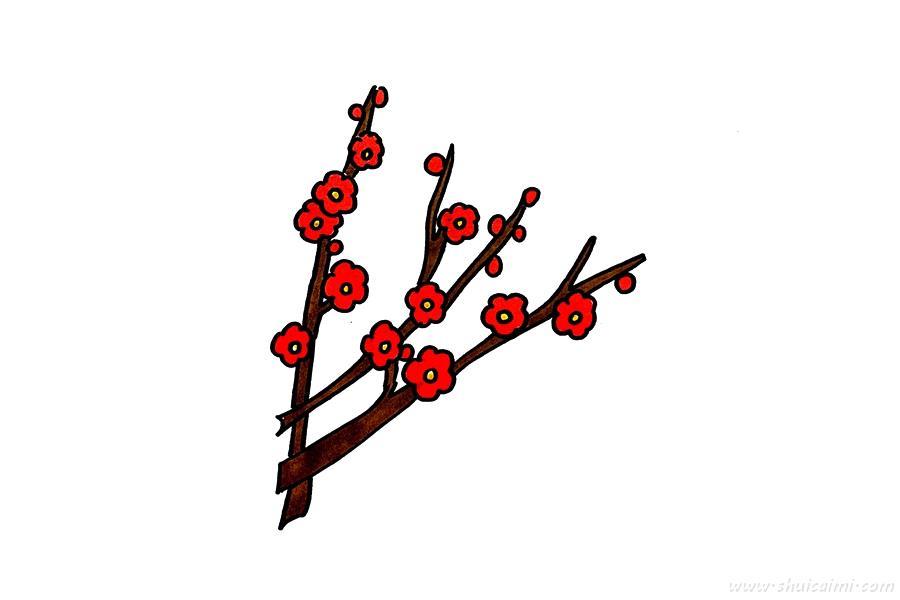 美丽的梅花怎么画 美丽的梅花简笔画简单好看带颜色
