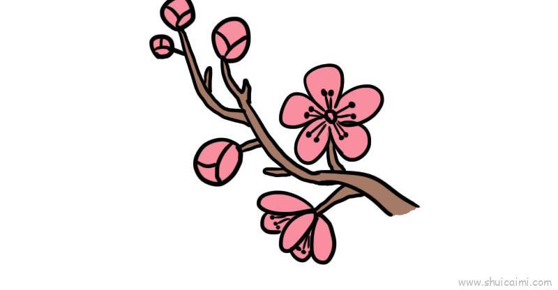 武汉樱花儿童画怎么画 武汉樱花简笔画教程
