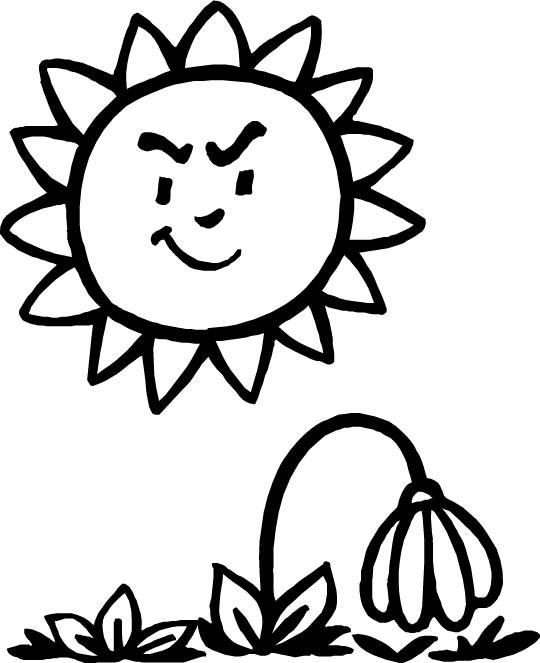 种子简笔画 种子简笔画豆子