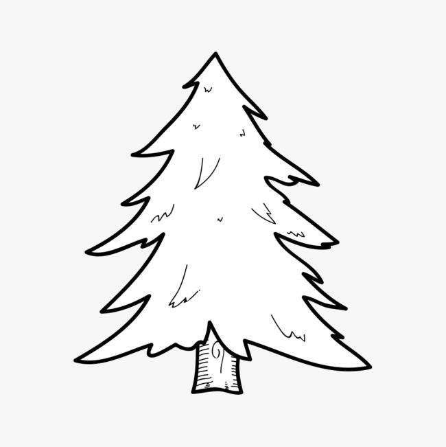 松树的简笔画图片大全 松树的简笔画图片大全大图