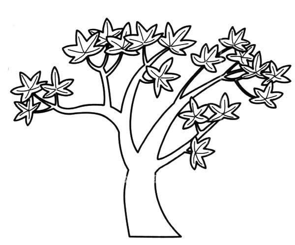 枫树简笔画 枫树简笔画图片大全大图
