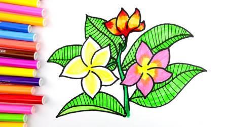 画植物简笔画 儿童画植物简笔画