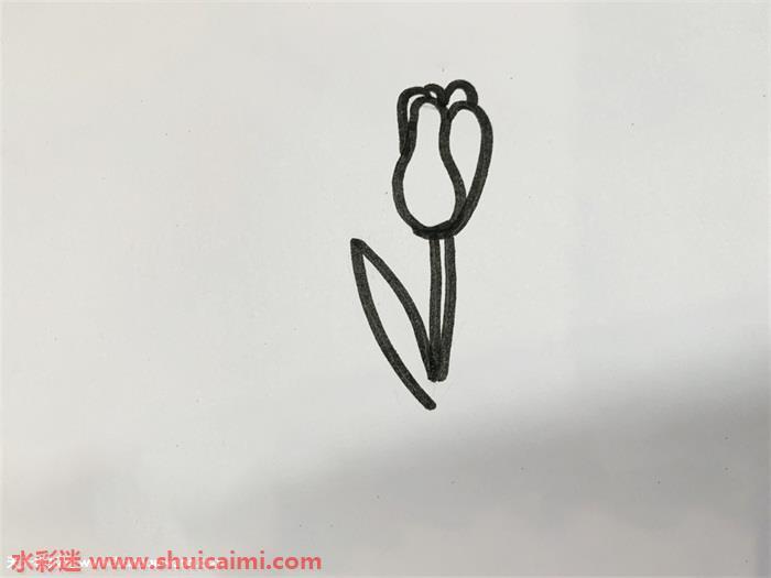 花瓣怎么画 好看花瓣简笔画简单彩色